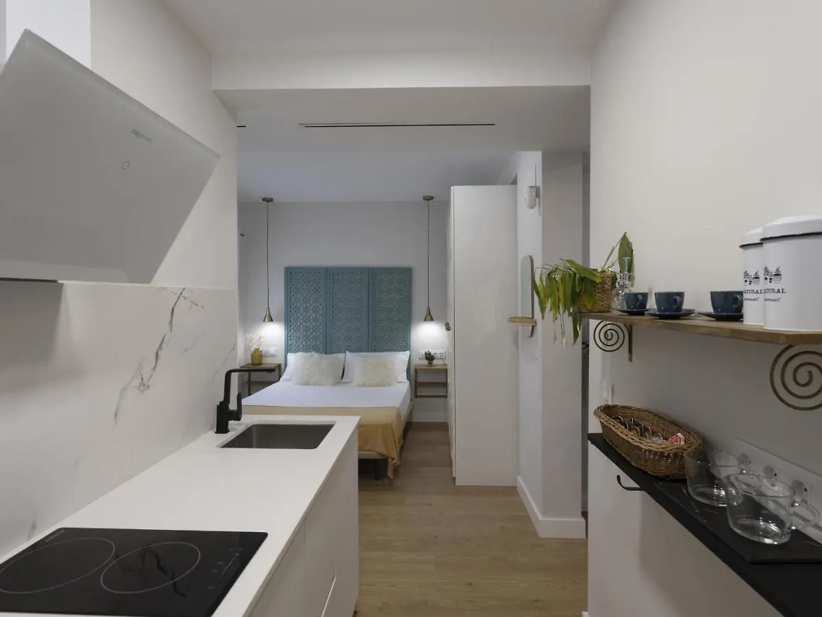 Beautiful Blue Triana Apartment Seville