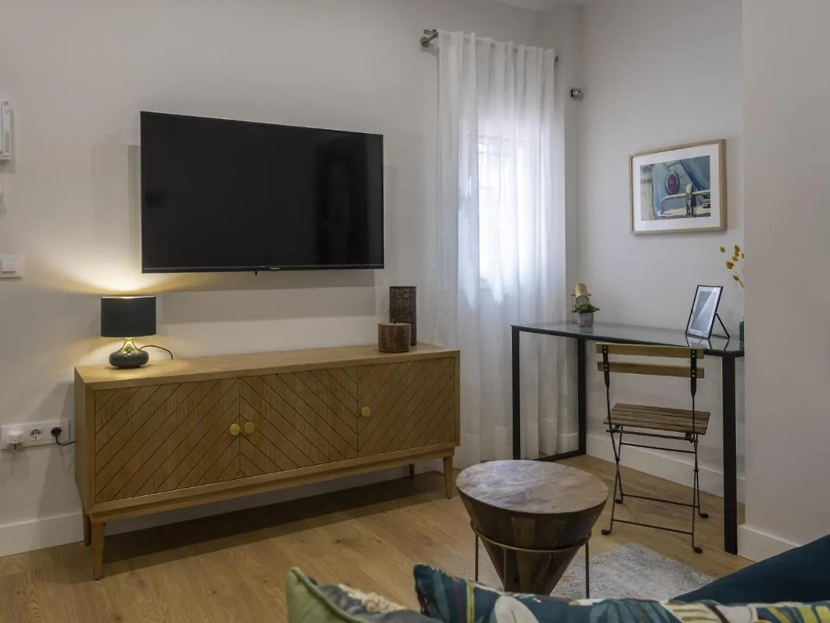 Beautiful Blue Triana Apartment Seville